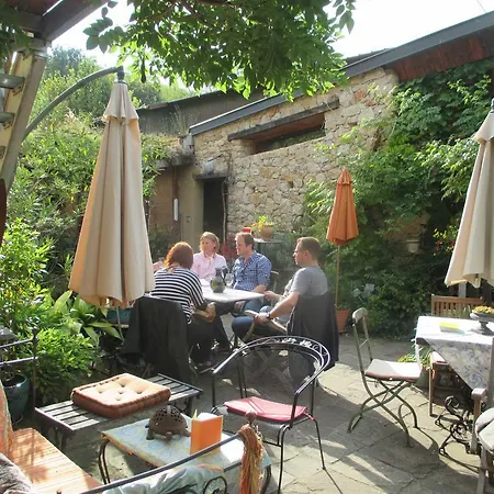 Villa Ecologis Du Vignoble Katzenthal Exterior foto