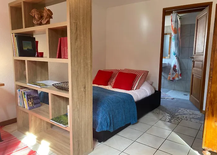 Ecologis Du Vignoble
