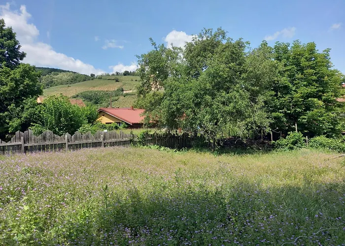 Ecologis Du Vignoble
