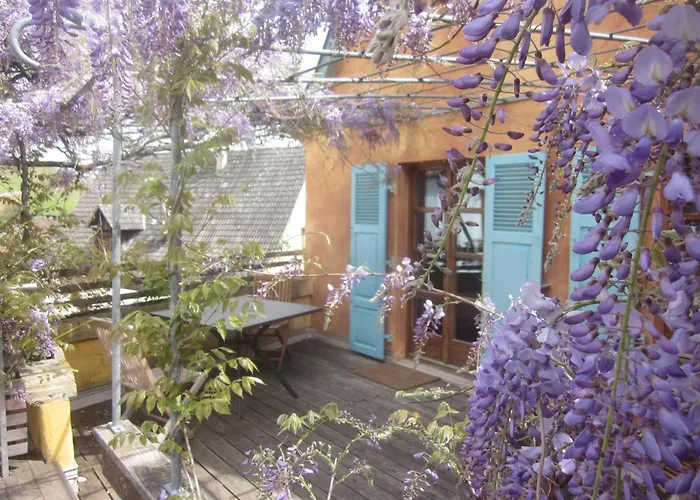 Ecologis Du Vignoble