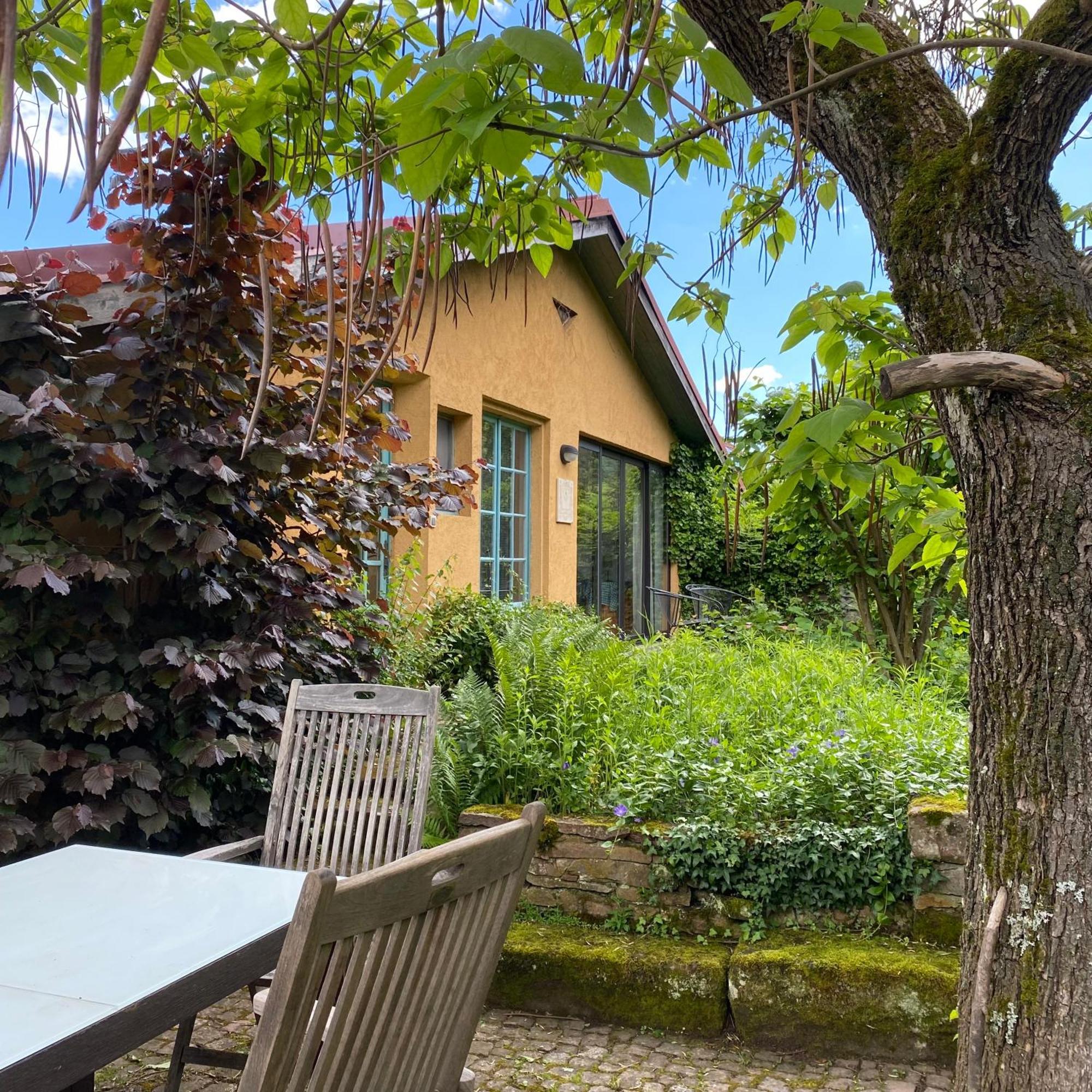 Ferienhaus Ecologis Du Vignoble Katzenthal