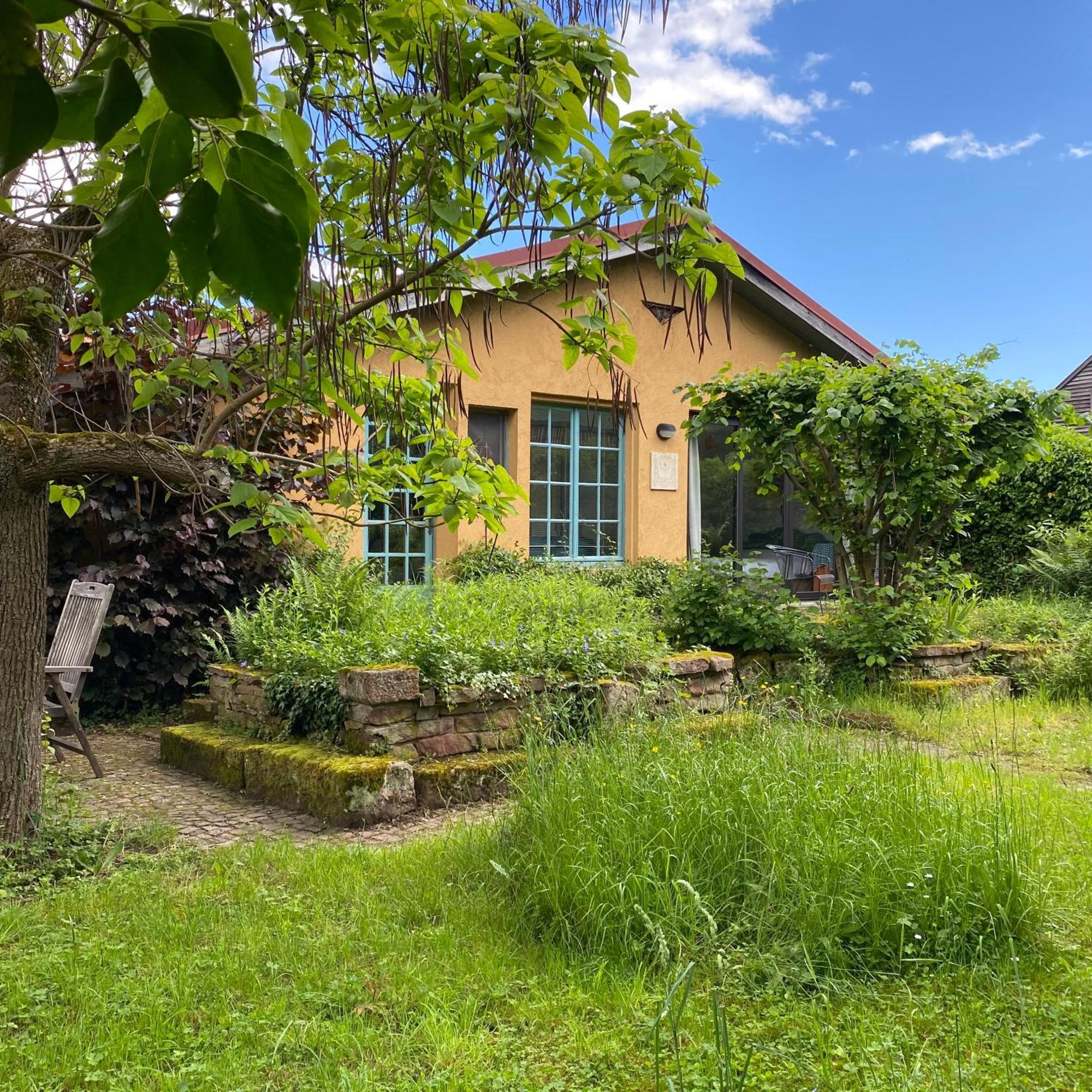 Ecologis Du Vignoble * Katzenthal
