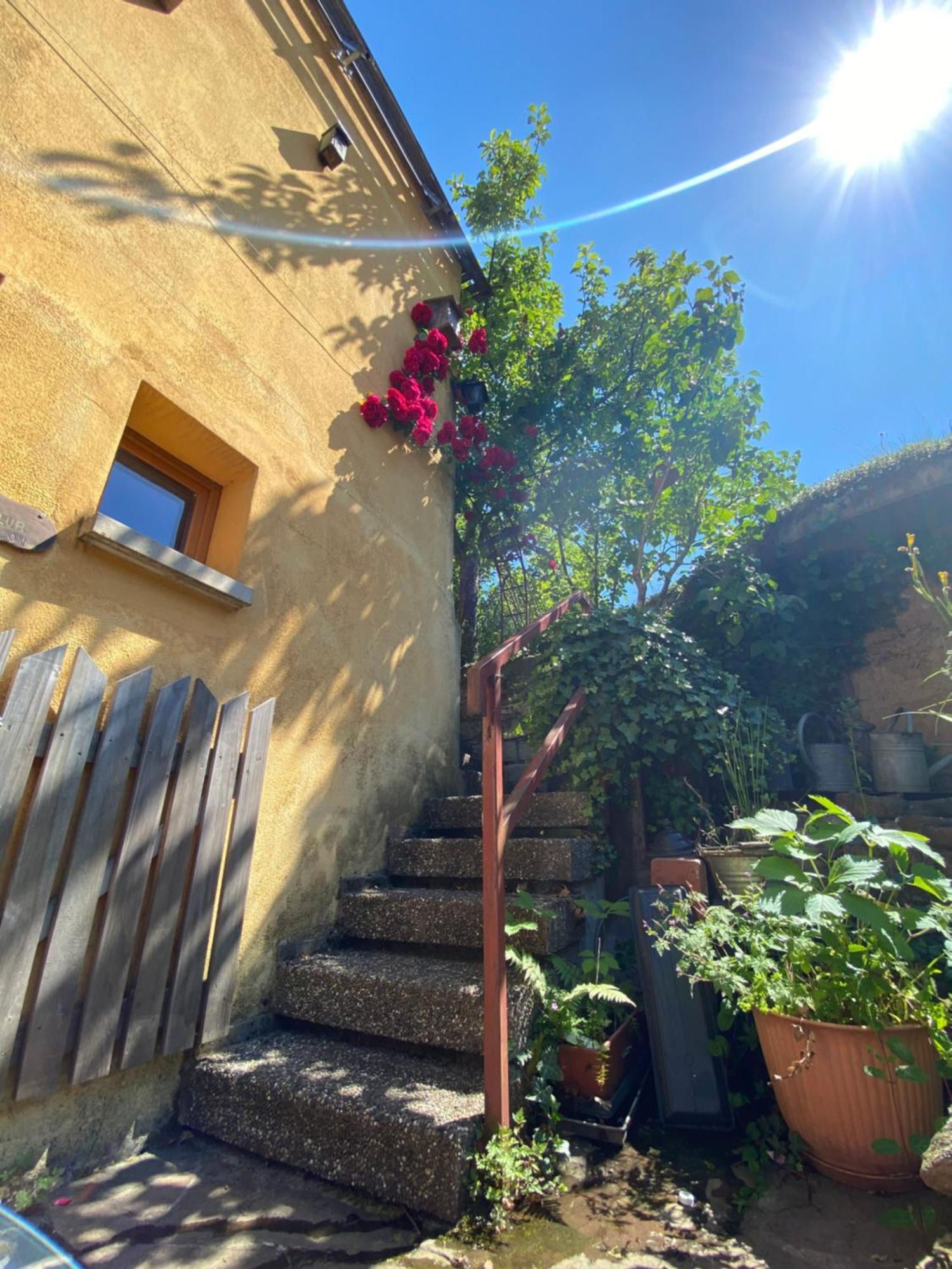 Ferienhaus Ecologis Du Vignoble Katzenthal