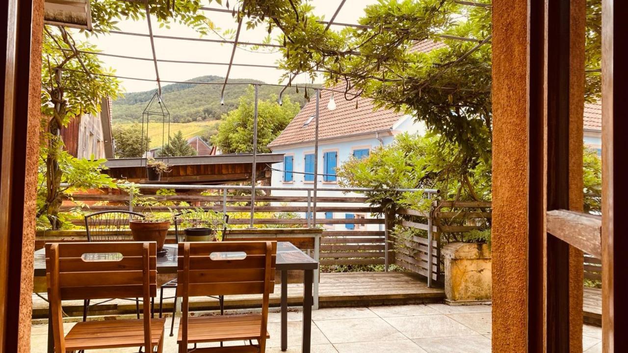 Ecologis Du Vignoble