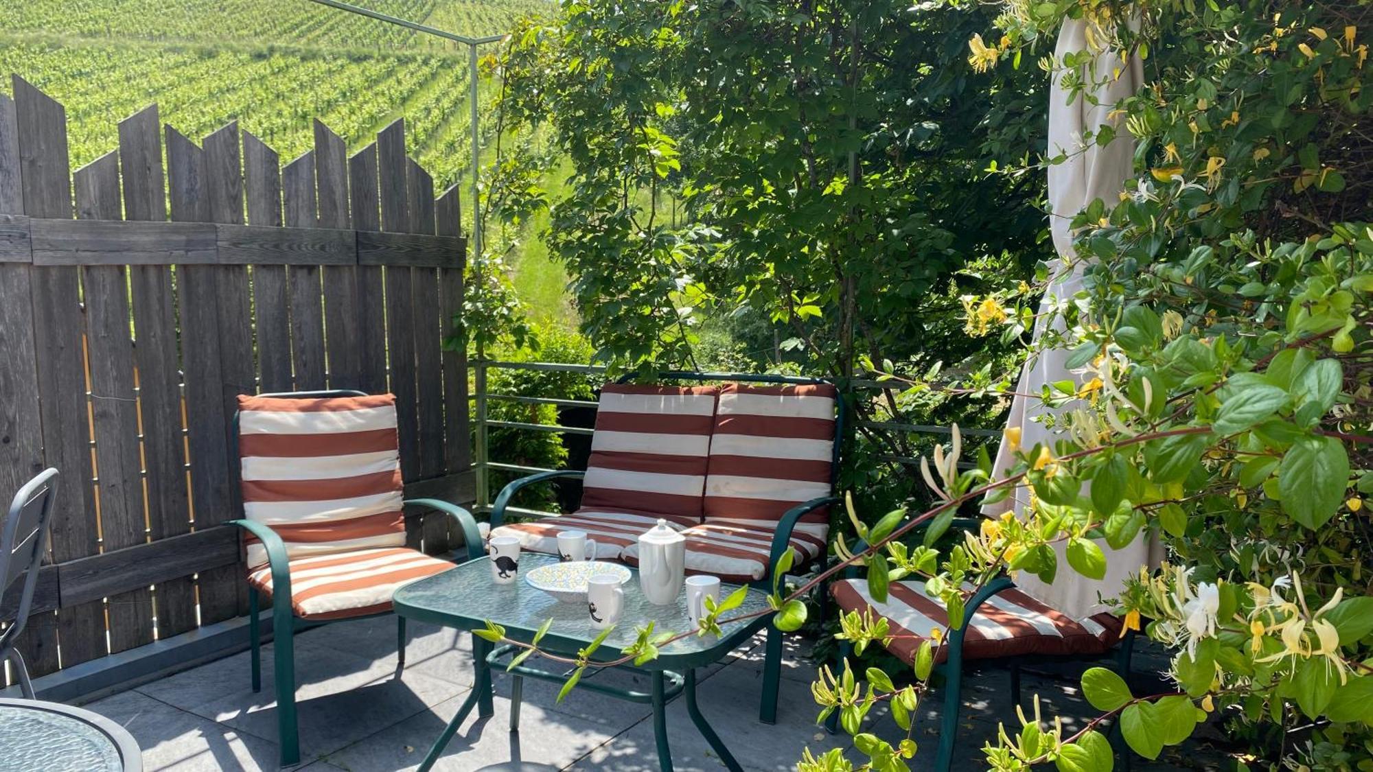 Holiday home Ecologis Du Vignoble Katzenthal