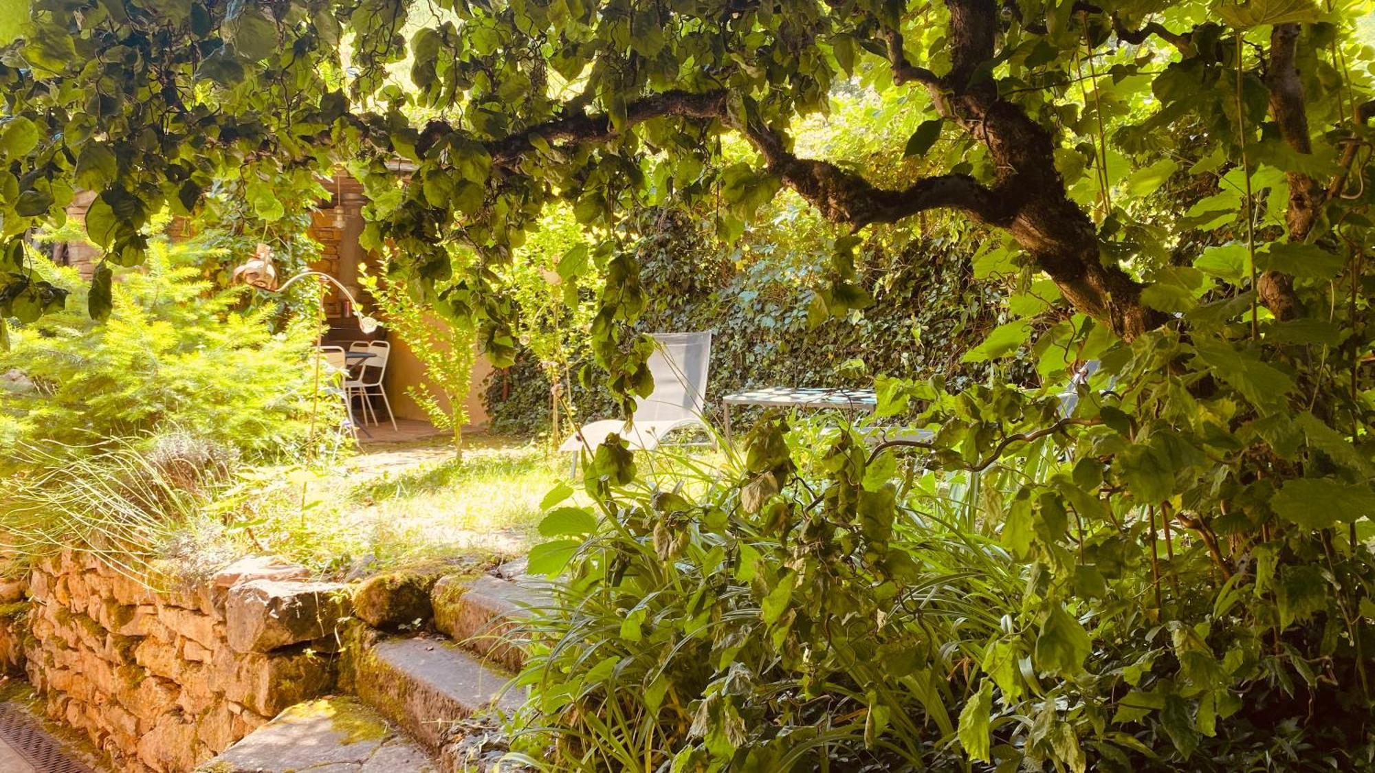 Ecologis Du Vignoble Holiday home *