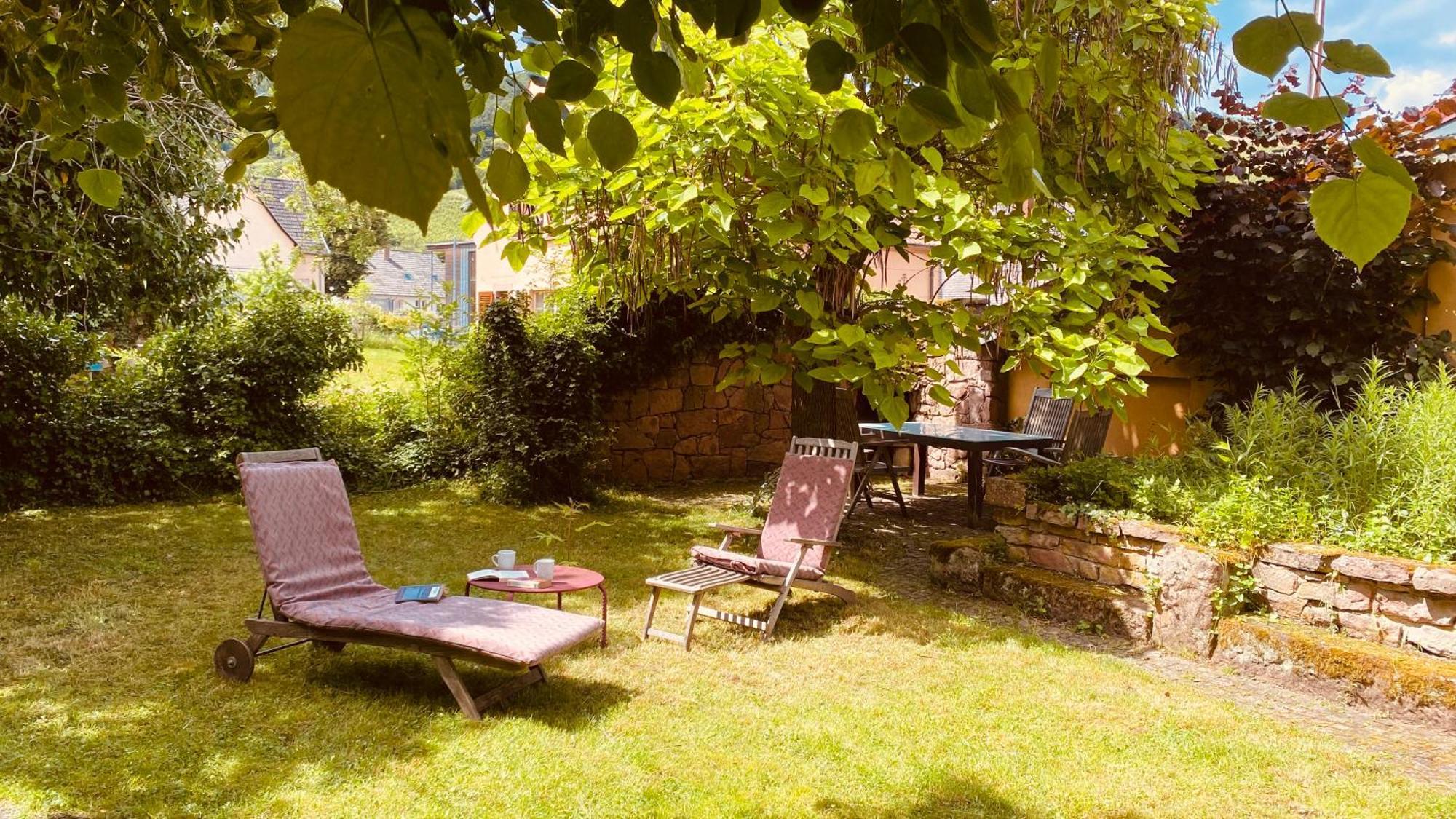 Ecologis Du Vignoble Holiday home *