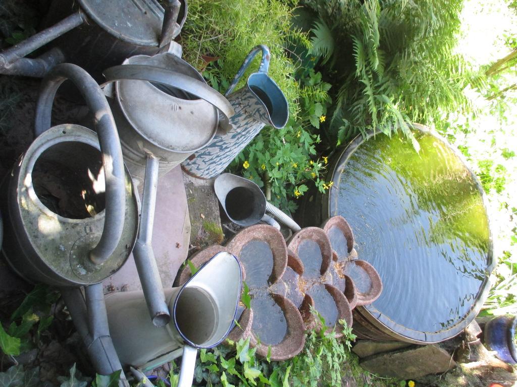 Ecologis Du Vignoble * Katzenthal