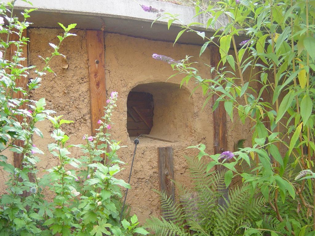 Ecologis Du Vignoble Katzenthal