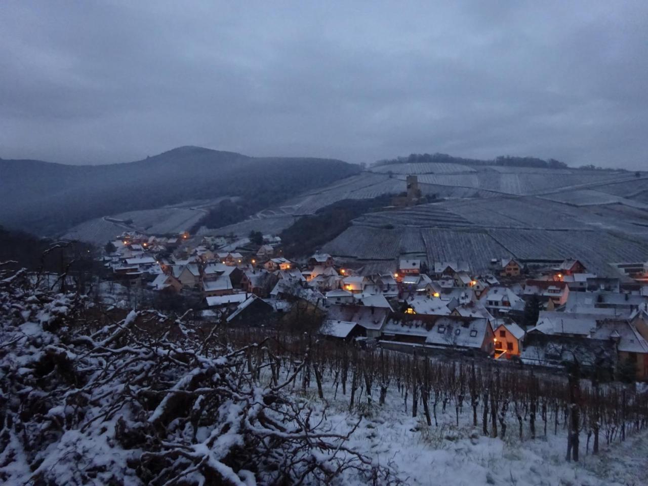 Ferienhaus Ecologis Du Vignoble