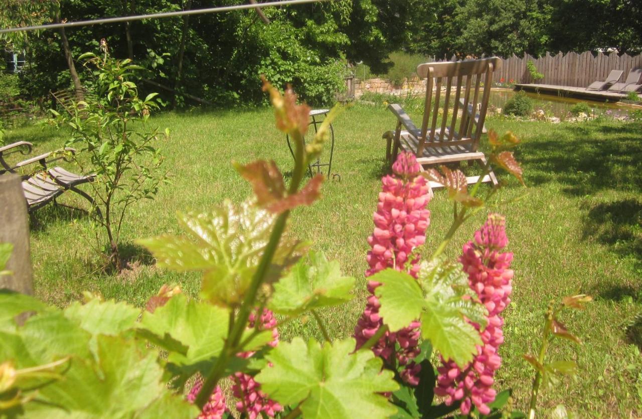 Ecologis Du Vignoble Katzenthal